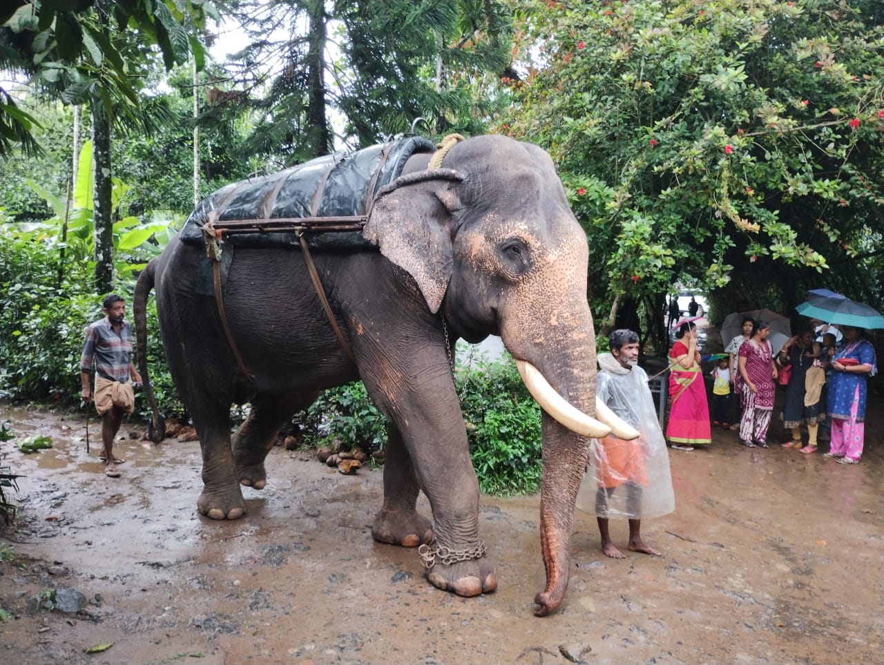 WhatsApp Image 2023-10-29 at 4.49.31 PM