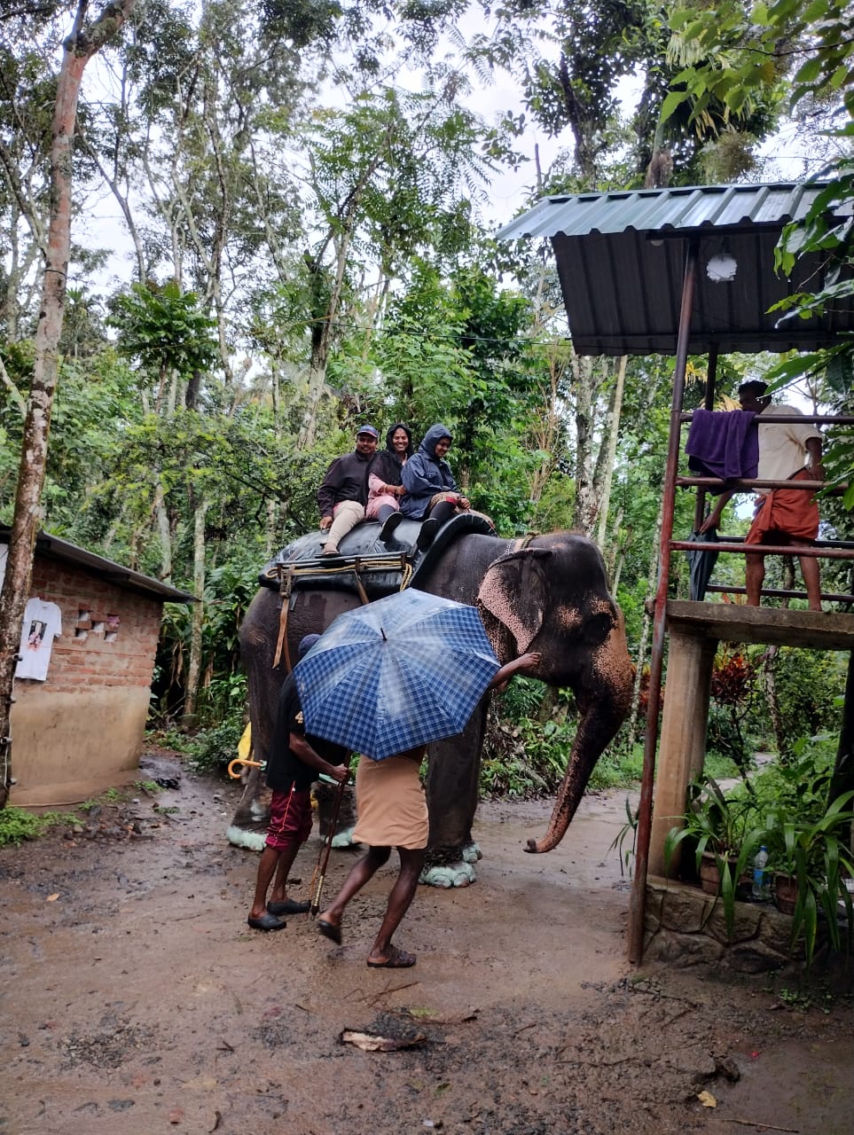 WhatsApp Image 2023-10-29 at 4.49.32 PM (1)