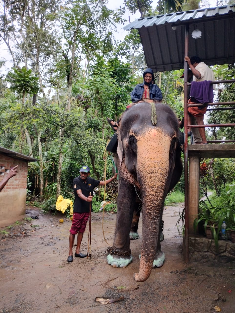 WhatsApp Image 2023-10-29 at 4.49.32 PM