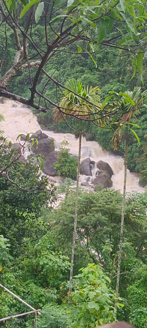 WhatsApp Image 2023-10-29 at 4.56.20 PM