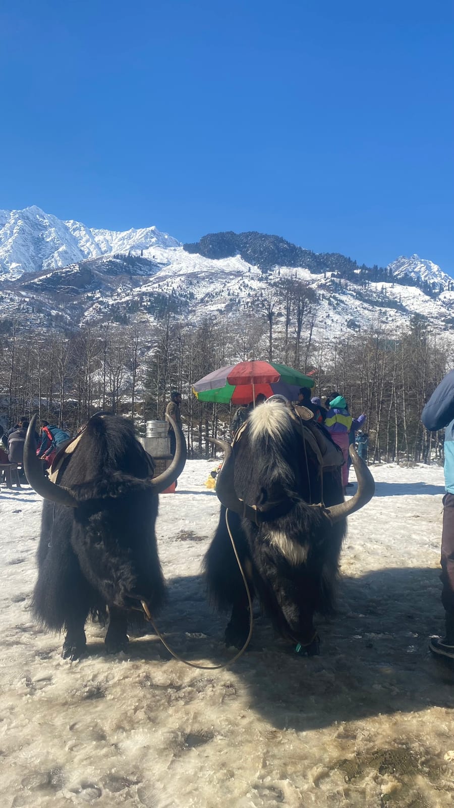 WhatsApp Image 2023-10-29 at 5.22.27 PM